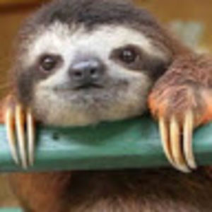 Meet your Posher, Roxana